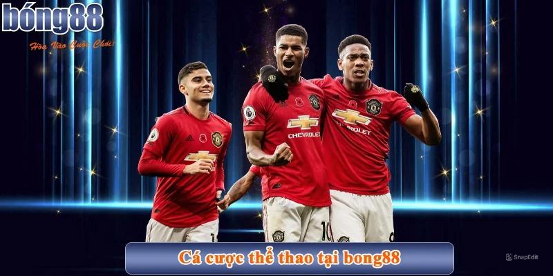 Cá cược thể thao tại bong88 phong phú và đa dạng