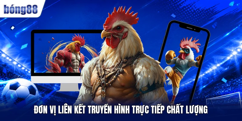 Đơn vị liên kết truyền hình trực tiếp chất lượng