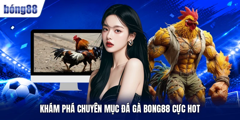 Khám phá chuyên mục đá gà BONG88 cực hot