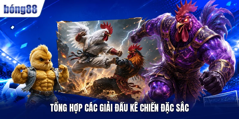 Tổng hợp các giải đấu kê chiến đặc sắc